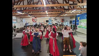 Sternpolka Auftritt beim Zeltfest der Union Ried in der Riedmark [upl. by Oak]