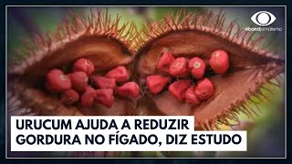 Urucum ajuda a reduzir gordura no fígado diz estudo  Jornal da Band [upl. by O'Neil]