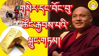 HH Karmapa’s speech about Gold amp donkey business rumtekkarmaekhenpo karmapa rinpoche tibettv [upl. by Wachtel]