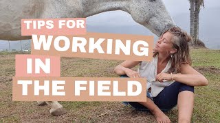 Tips for Working in The Field Every Day [upl. by Merth159]