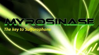 Myrosinase the key to Sulforaphane [upl. by Ullman]