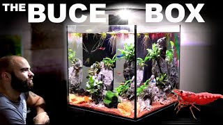 The Buce Box ALL IN ONE Shrimp Cube Aquarium [upl. by Laufer]