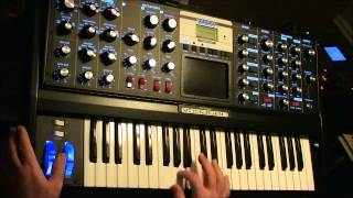 Minimoog Voyager Custom Patch Demo [upl. by Lotsirk]