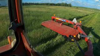 Cutting hay with the International 856 and New Holland 1411 discbine [upl. by Amora]