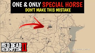 Crazy Way To Get Unlimited Buell Horse Without Completing Veteran Mission  RDR2 [upl. by Annelg918]