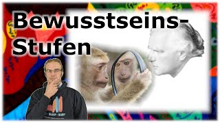 Stufen des Bewusstseins  Burkhard Heims 6Dimensionale Welt A08 [upl. by Nonad]