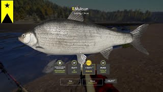 RUSSIAN FISHING 4  RF4  MUKSUN TROPHY [upl. by Abekam272]