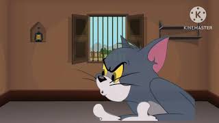 Tom And Jerry Hindi Dubbing Hindi Cartoon [upl. by Lutero]