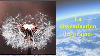 La dissémination des graines [upl. by Clyte]