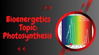 Photosynthetic Pigments l Bioenergetics l XI biology l part 2 [upl. by Isied354]