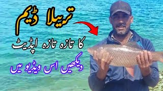 tarbela Dam New fishing ll fishing videoqazitheadventure [upl. by Akemet]