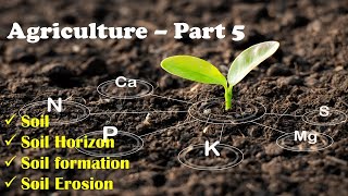 Soil HorizonSoil Profilesoil erosionsoil formationTamilAGRICULTUREchapter 24Part5shankar IAS [upl. by Saval]