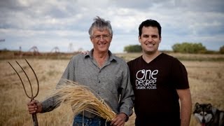 Vegan Organic Ancient Grains  Pierce Family Farm [upl. by Atneuqal]