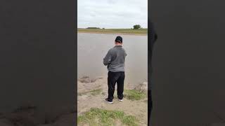 El río Salado sorprende parati pesca funny fyp fish fishing shorts shortvideo short [upl. by Nnayelhsa]