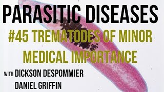 Parasitic Diseases Lectures 45 Trematodes of Minor Medical Importance [upl. by Linad]