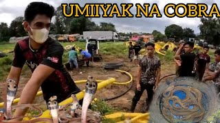 UMIIYAK NA MGA COBRA ANG DATING PAG HAHANAP NG BUONG COBRA TEAM cobraprince [upl. by Barolet]