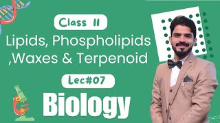 Lipids Phospholipids Waxes amp Terpenoid  Biological Molecules  Biology Class 11  Part 3 [upl. by Domineca]