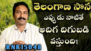 Telangana Sona ఎప్పుడు నాటాలి RNT15048  SUGERLESS  తెలంగాణా సొనrice variety  paddy variety [upl. by Ivah698]