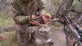 Early Morning Crossbow Hunt for Whitetail [upl. by Oribella]