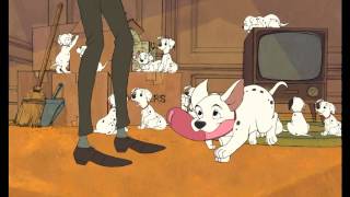 101 Dalmatians 2 Patchs London Adventure  I See Spots Polish 1080p [upl. by Durware]