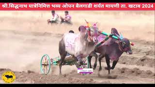 live🔴🚩९१६ वजीर आणि सैतान 🚩 सेमीसाठी पात्र  मायणी बैलगाडा bailgadasharyat [upl. by Hayyifas]