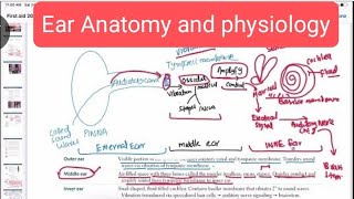 Essential Guide to Ear Anatomy and physiology otorhinolaryngology 1  First Aid USMLE Step 1 [upl. by Resneps]