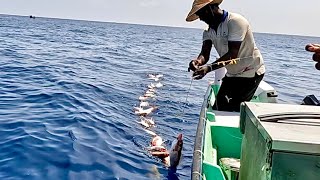 Deep Sea Fishing for Rosy Snapper [upl. by Sikata]