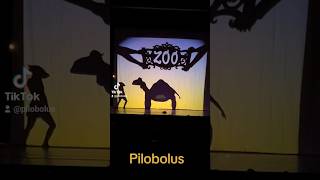 Microdose Pilobolus from Shadowlandthe finale in Munich [upl. by Ecnahc661]