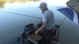 Trabucco TV  Match Fishing  Le Alborelle Giganti del fiume Po [upl. by Ille33]