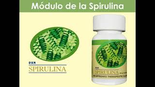 Conoce los beneficios de tomar Spirulinas de calidad [upl. by Cirre]