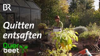 Quittenrezepte Saft und Brot  Tipps von Sabrina [upl. by Citron]