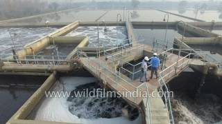 Sewage water turns potable in this STP in India aerial flight [upl. by Thanasi939]