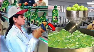 FACTORY में DABAR AMLA OIL कैसे बनता है  Dabur Amla oil Production  Amla oil Manufacture [upl. by Armington]