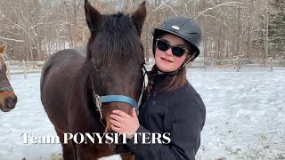 Team PONYSITTERS Only at JL Performance Horses [upl. by Lyndsey]