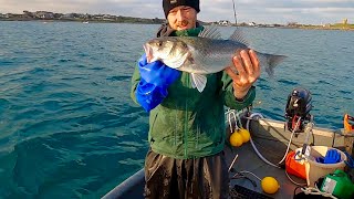 Fresh Clams Produce Big Bass on my Longline  Super Dingy Long lining [upl. by Carolee]