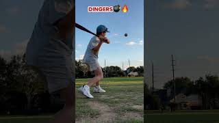 Dingers ❗️ [upl. by Hesketh]