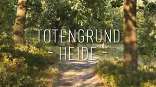 Totengrund  Heide in Deutschland  Cinematic [upl. by Benilda]