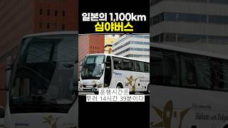 일본의 1100km 심야버스 [upl. by Aivekal]