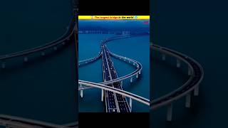 😱 The longest bridge in the world 🥶 shorts MRINDIANHACKER CrazyXYZ [upl. by Hereld]