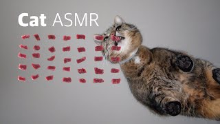 Cat ASMR  raw beef [upl. by Merrow]