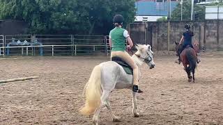 Raw of my first time cantering feedback pls canter firsttime horse equestrian horsegirl [upl. by Trev]