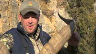 Spanish Ibex Caza Hispanica Outfitter  Reel [upl. by Naashom]