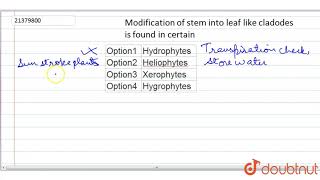 Modification of stem into leaf like cladodes is found in certain  12  STEM  BIOLOGY  DINES [upl. by Livvyy821]