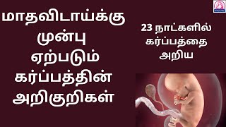 Early pregnancy symptoms before missed periods in Tamil  pregnancy symptoms in Tamil l MalligaTamil [upl. by Manvil291]