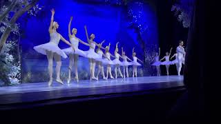 swanlake dancing of the Ukrainian balett group Grieghallen in bergen 2024 [upl. by Clerc]