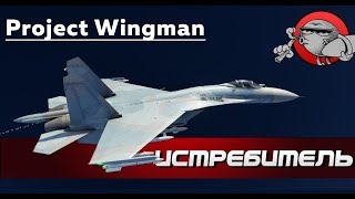 Project Wingman  ПОЛЕТ НА ИСТРЕБИТЕЛЕ [upl. by Secnarf]