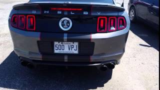 BPS Custom Spec Bullet Racing Cams Shelby GT500 [upl. by Azenav]