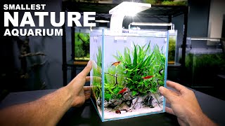 Aquascape Tutorial TINY 26 gal NATURE Aquarium How To Step By Step Nano Tank Guide [upl. by Ahselat]