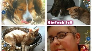 VLOG ♡ Persönliches über mich ★ Trichotillomanie ♥ [upl. by Otrebliw]