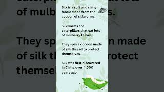 10 Lines on Silkworm in English Essay on Silkworm for kids silkworm [upl. by Helve]